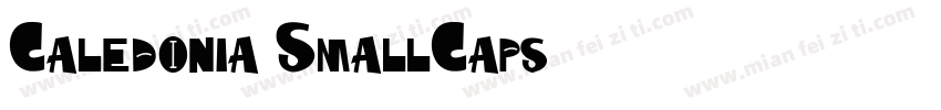 Caledonia SmallCaps字体转换